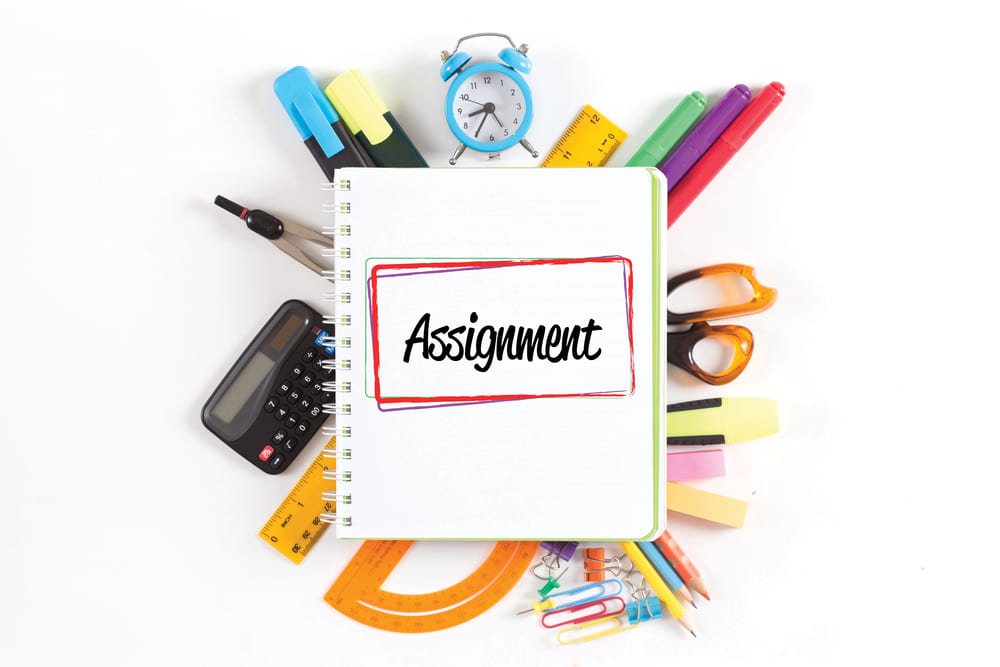 what is assignment in education pdf