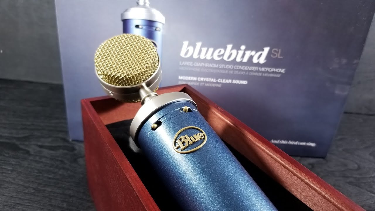 Blue Bluebird SL