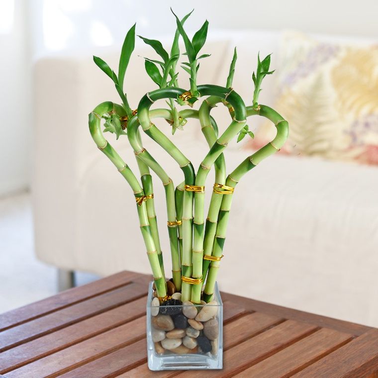 20 Decoration Ideas With Bamboo - Beautiful Plant With a Lot of Symbolism