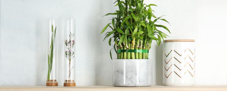 20 Decoration Ideas With Bamboo - Beautiful Plant With a Lot of Symbolism