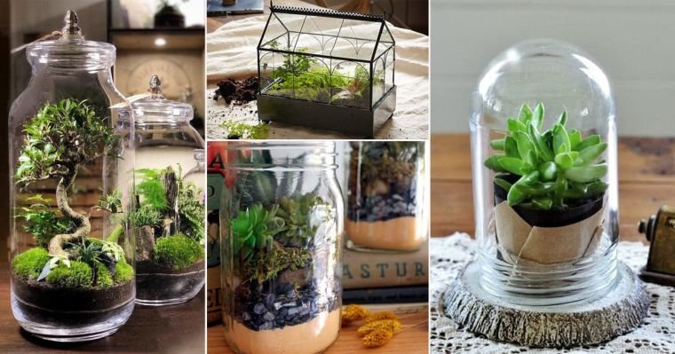 20 Ideas and Tips for Using Glass Terrariums in Your Home Decor