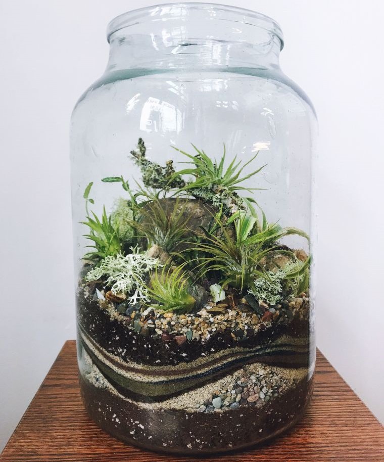20 Ideas and Tips for Using Glass Terrariums in Your Home Decor 20