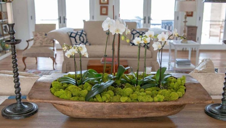 20 Lovely Ideas to Decorate Your Home in Spring Using Moss