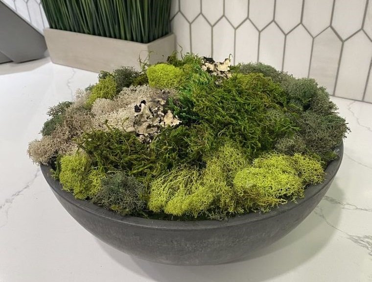 20 Lovely Ideas to Decorate Your Home in Spring Using Moss 20 Lovely