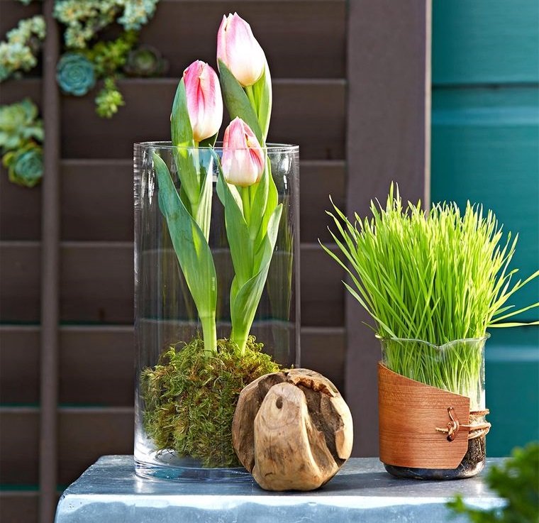 20 Lovely Ideas to Decorate Your Home in Spring Using Moss 20 Lovely