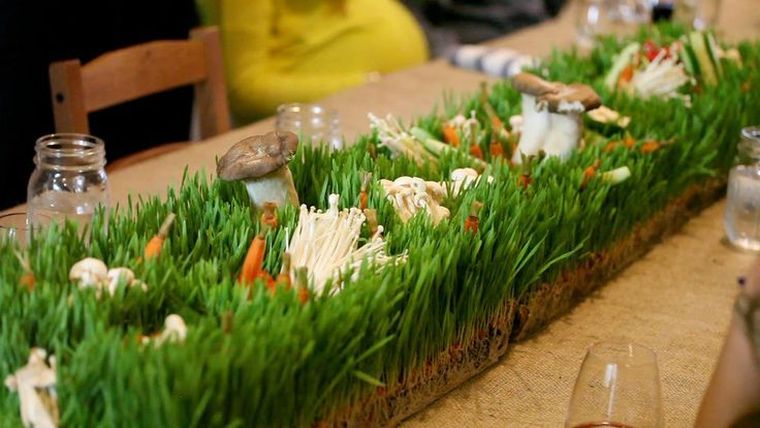 25 Decor Ideas With Wheatgrass for a Beautiful Fresh Decoration to Try in Spring