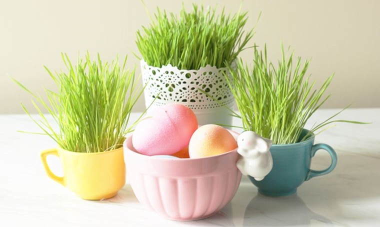 25 Decor Ideas With Wheatgrass for a Beautiful Fresh Decoration to Try in Spring
