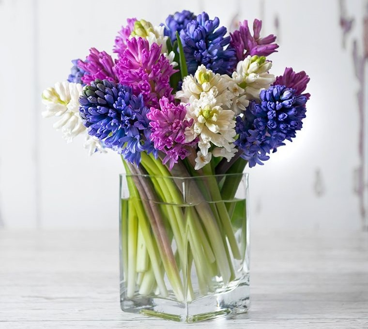 25 Ideas to Decorate and Scent Your Space in Spring With Hyacinth Flowers