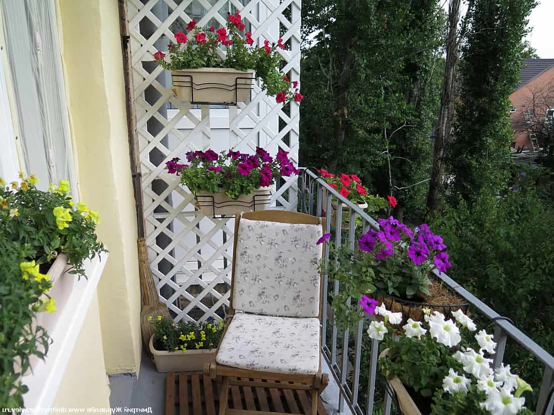 25 Ideas to Remodel an Open Loggia Furniture, Plants, Protection From Precipitation 