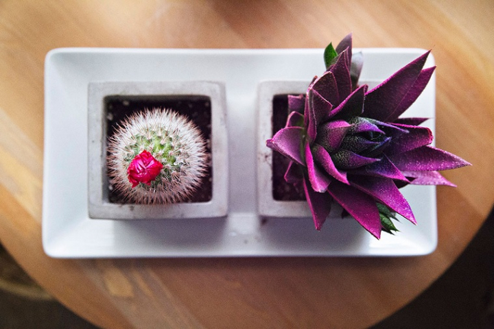 19 Photos That Shows You How to Decorate Your Home With the Things That Attracts Good Luck