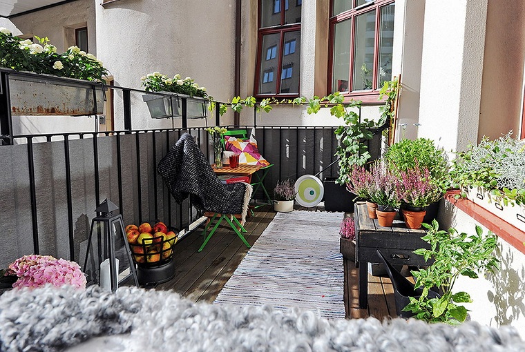 20 Balcony Plants to Plant on the City Balcony