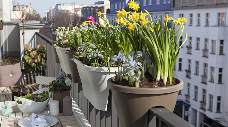 20 Balcony Plants to Plant on the City Balcony