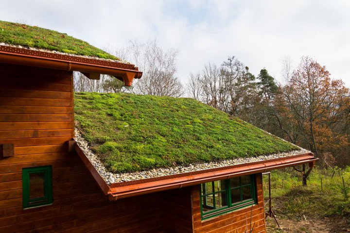 20 Ideas to Create Beautiful Rooftop Gardens