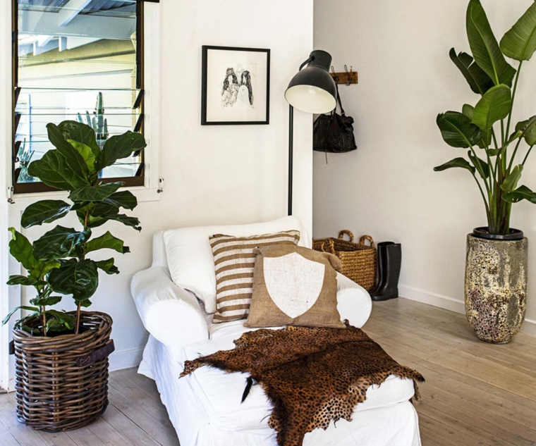 20 Tips That Guide You to Buy, Care for, and Designing Indoor With Potted Plants