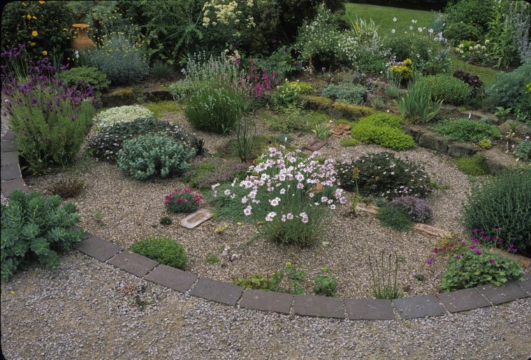 25 Ideas to Plant and Care for a Dry Garden