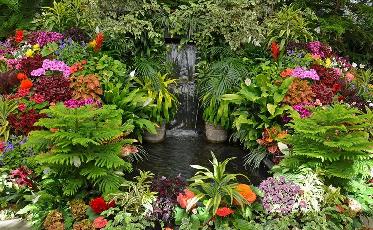 25 Simple Tips for Creating and Maintaining an Exotic Outdoor Space With Tropical Garden