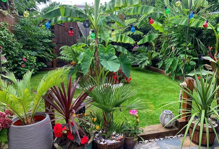 25 Simple Tips for Creating and Maintaining an Exotic Outdoor Space With Tropical Garden