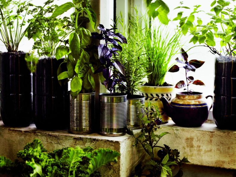 30 Ideas to Design a Garden in Summer