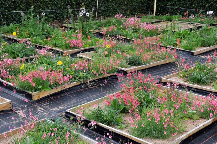 30 Ideas to Design a Garden in Summer