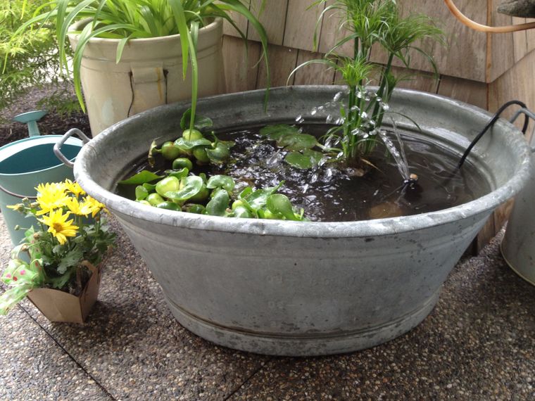 35 Small Pond Ideas for Your Garden to Add Charm to Your Outdoor Decor