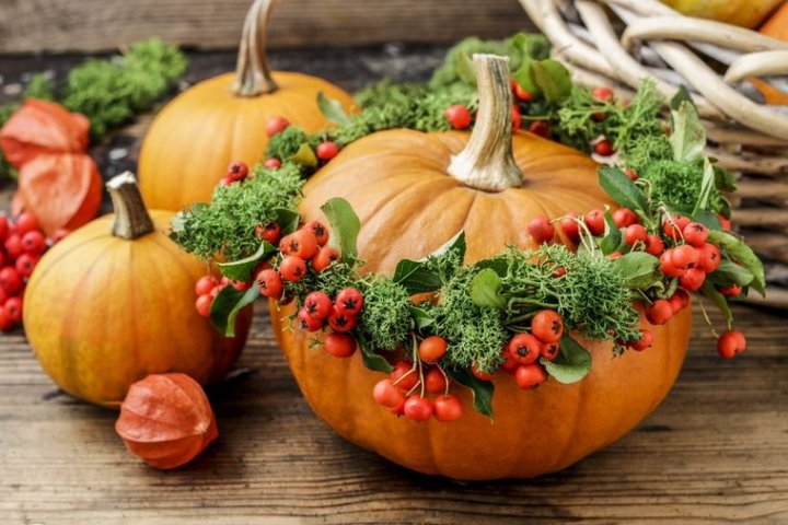 36 Ideas for Using the Tradition of Pumpkins as Part of Your Decoration