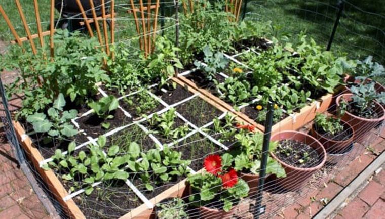 40 Ideas to Create a Small Ecological Urban Garden