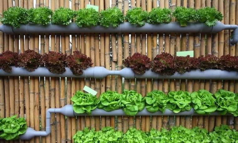 40 Ideas to Create a Small Ecological Urban Garden