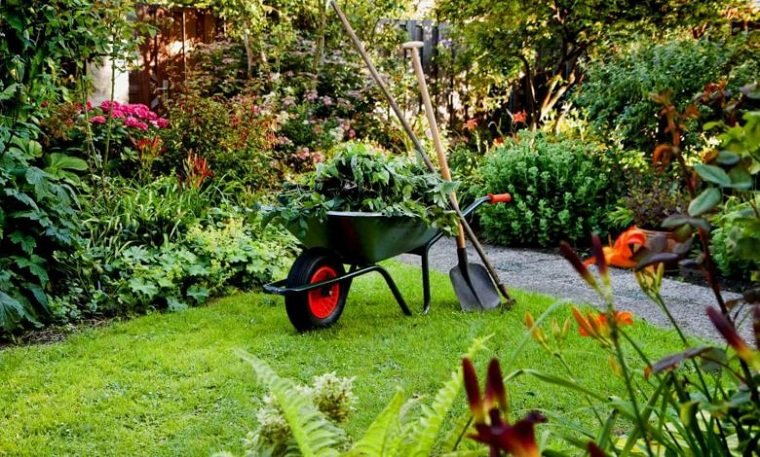 20 Ideas to Prepare Your Garden for Spring