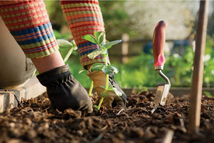 20 Ideas to Prepare Your Garden for Spring