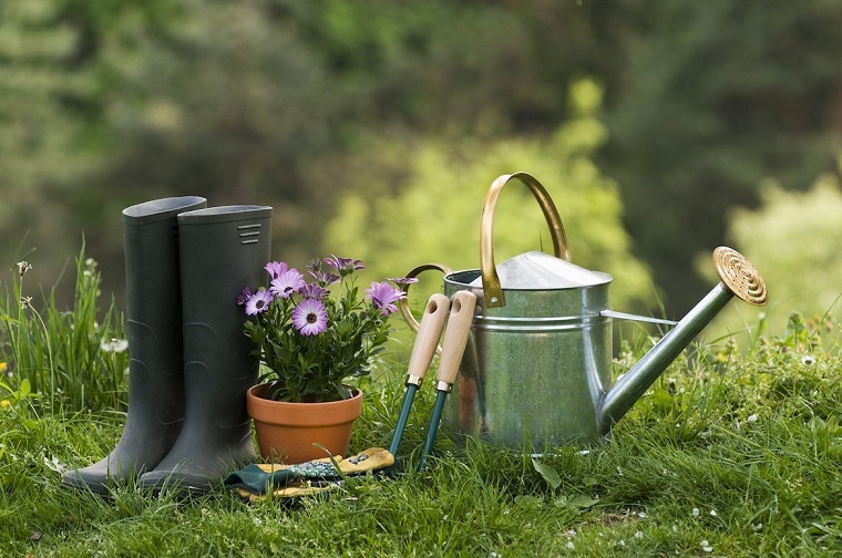20 Ideas to Prepare Your Garden for Spring