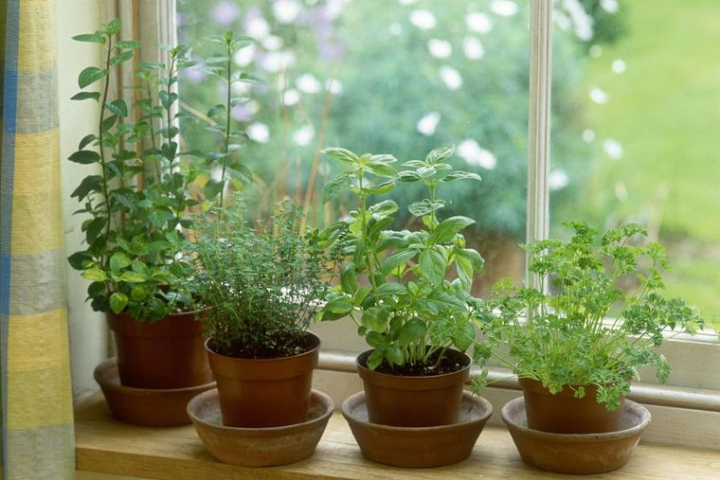 20 Ideas to Prepare the Garden and Keep It Happy in the Cold Season