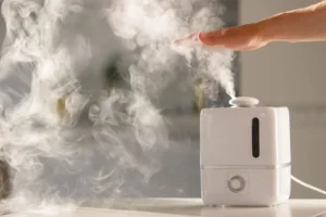 Whole House Humidifier vs Portable Humidifier: Pros & Cons