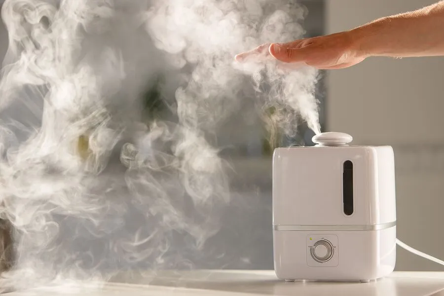 Complete Home Humidifier vs Moveable Humidifier: Execs & Cons