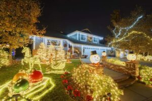 6 Easy and Affordable DIY Christmas Landscaping Ideas